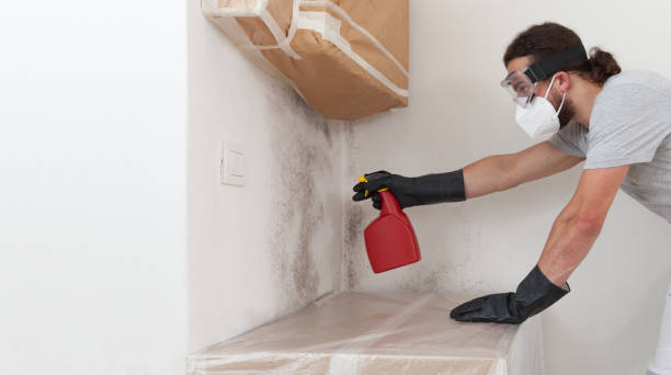 Professional Mold Inspection And Testing technician working in Teaneck, NJ